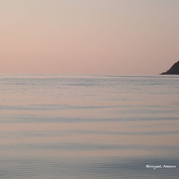 加計呂麻島の海