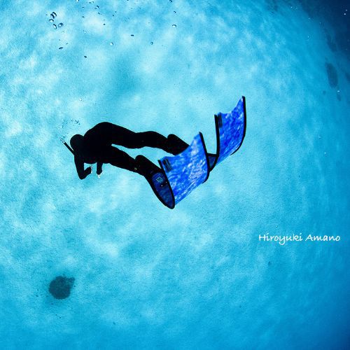 加計呂麻島スキンダイビング