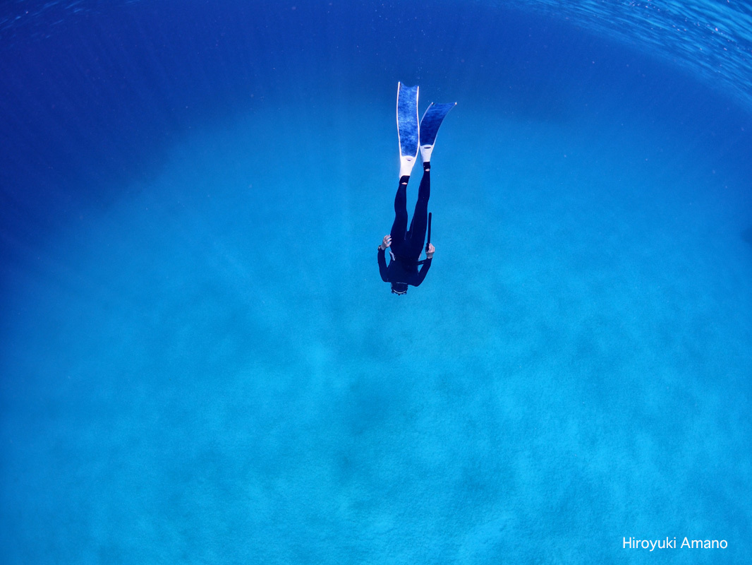 奄美スキンダイビング