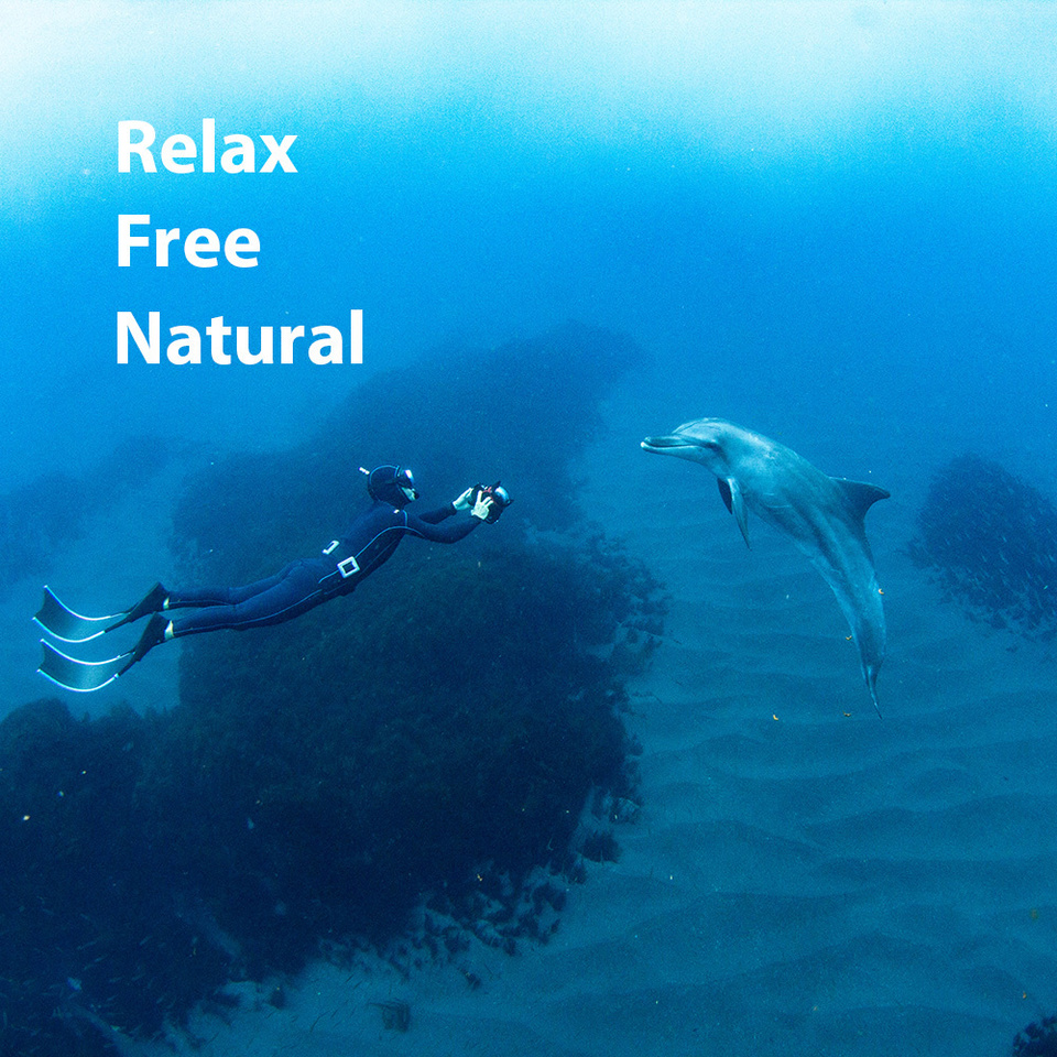 ミナミハンドウイルカ　御蔵島