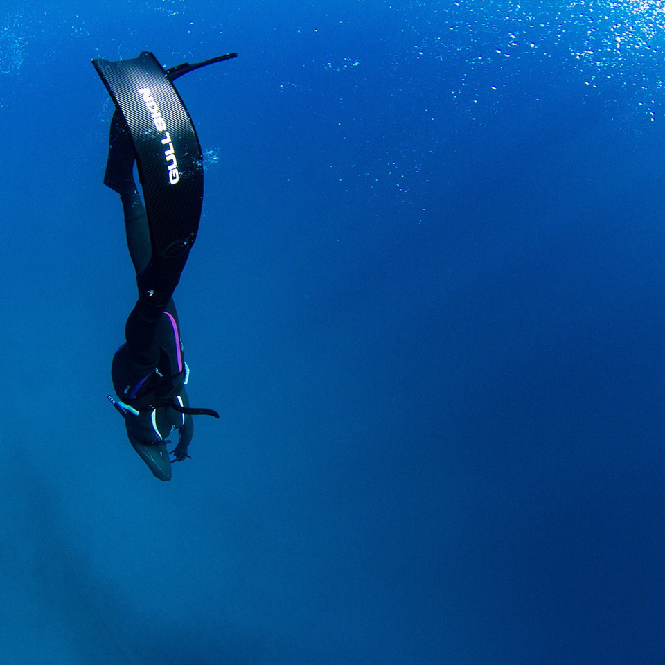 奄美スキンダイビング