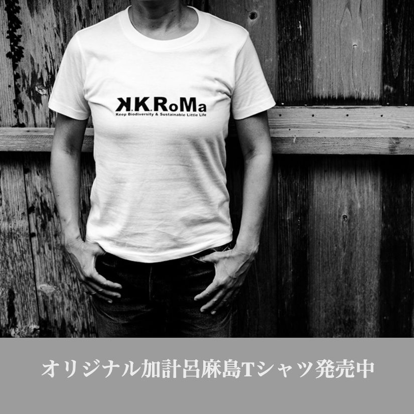 加計呂麻島Tシャツ
