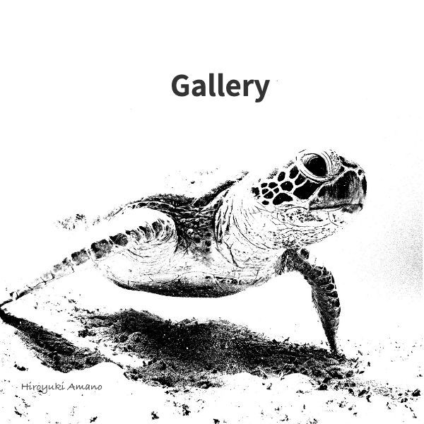 UNDERWATER Art Works